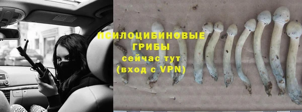 гашиш Белокуриха