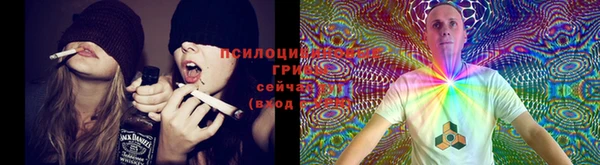 гашиш Белокуриха